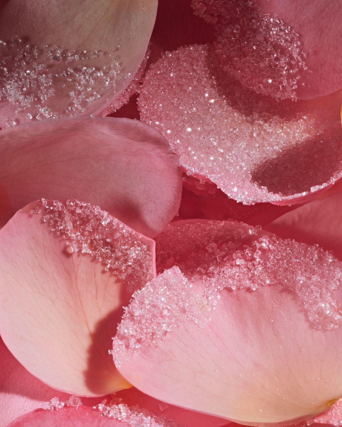 The Full Ritual — Rosèe | Body Care Bundle