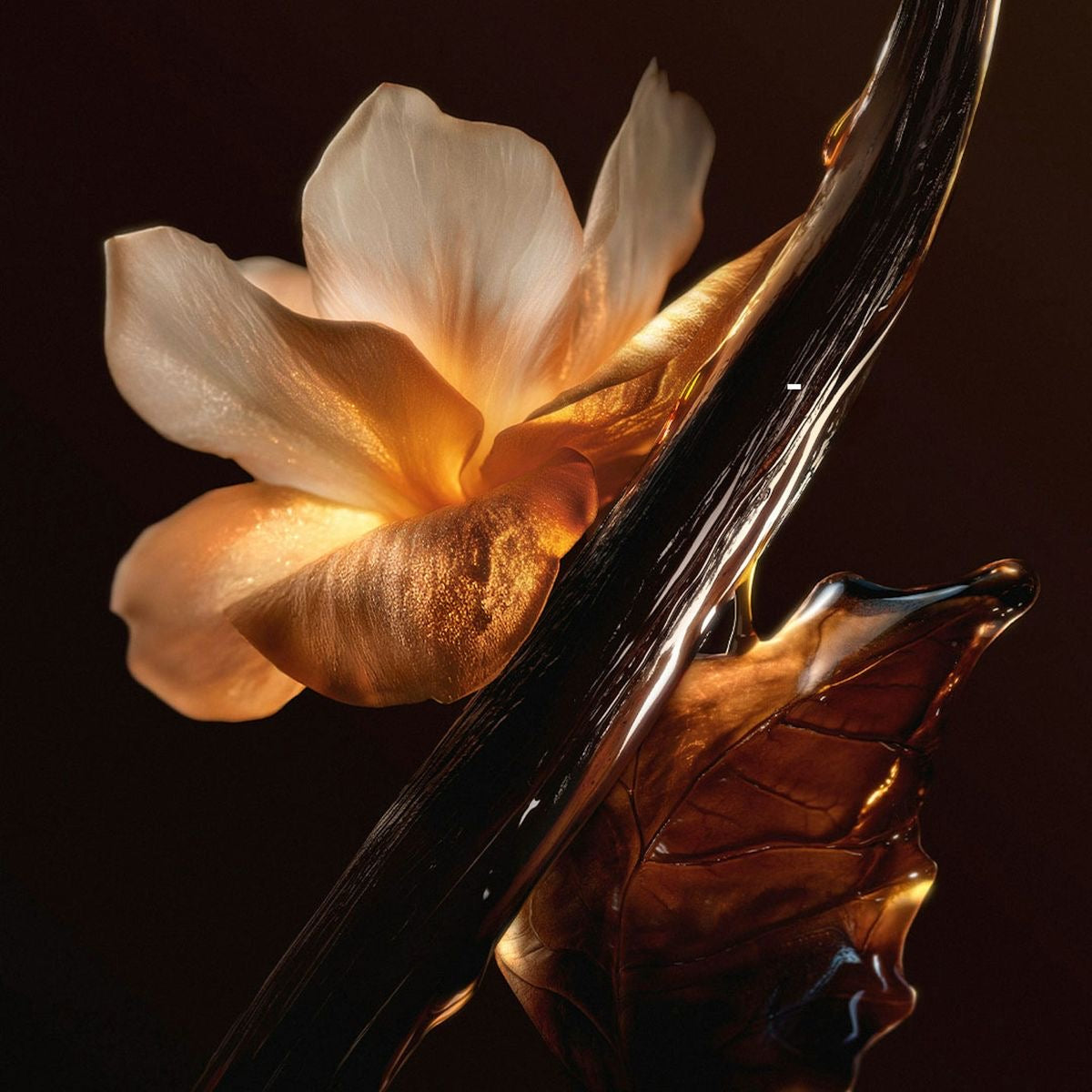 Bloom Body Nectar Serum | Luxe Perfumed Body Oil